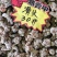 云南文山春三七粉俗称(田七)农户直销价格优惠