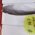 巴沙鱼越南精修巴沙鱼
