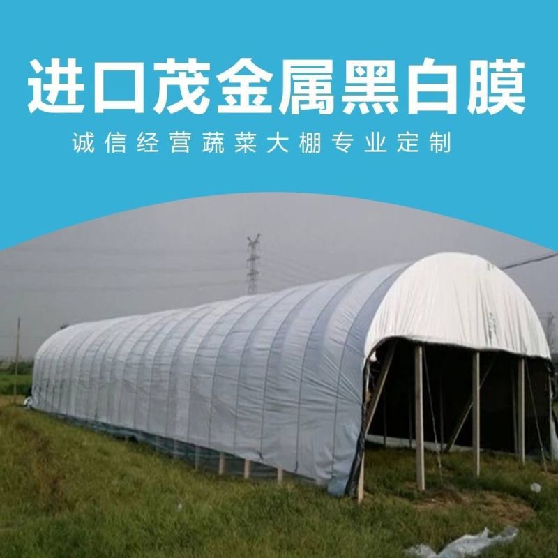 厂家生产多功能黑白膜食用菌养殖用青储养殖棚用黑白膜