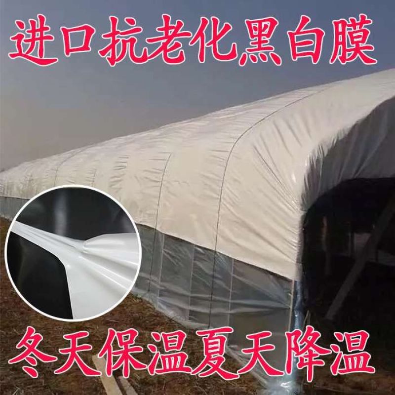 厂家生产多功能黑白膜食用菌养殖用青储养殖棚用黑白膜