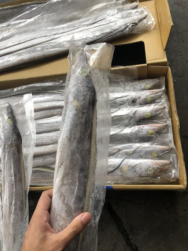 马来西亚a带200-300靓货