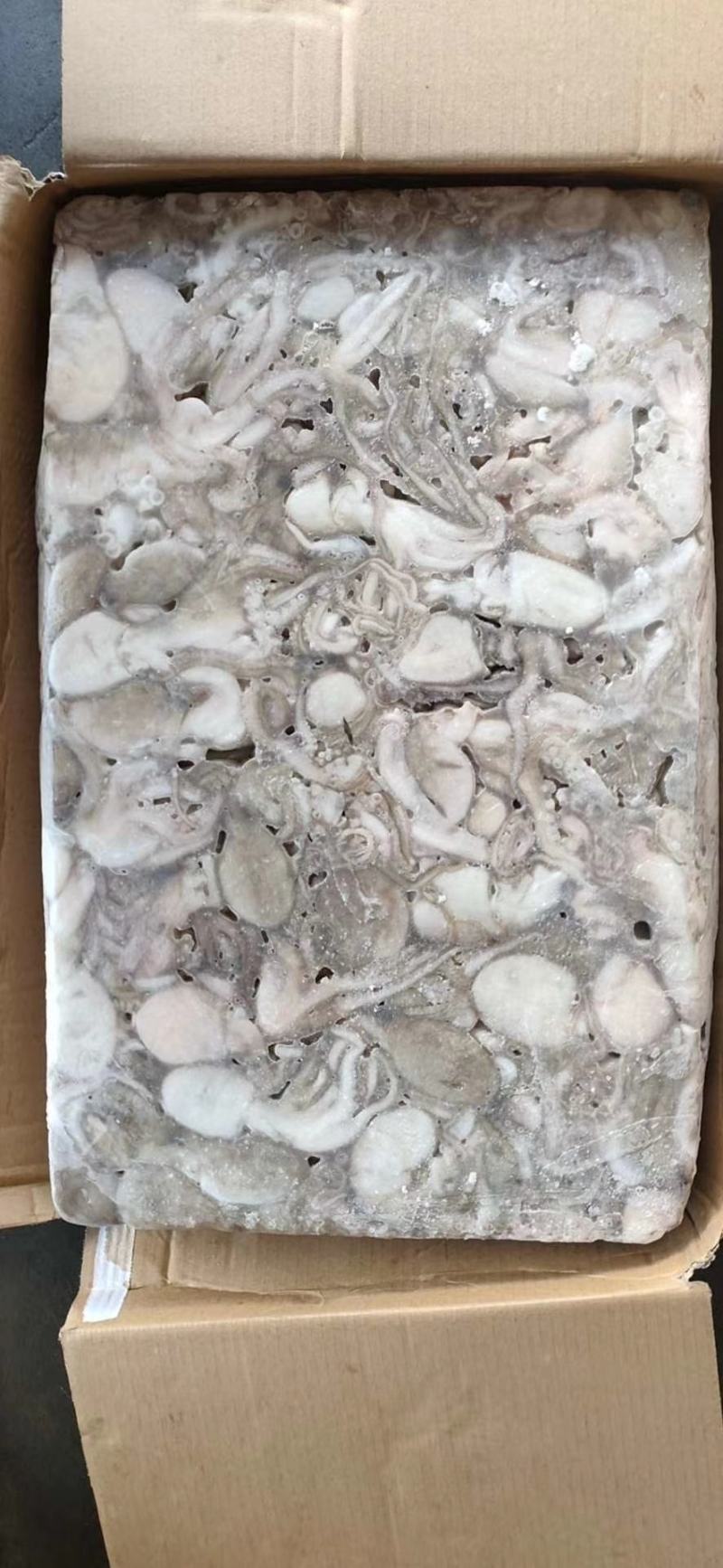 泰国章鱼50-100有泡水看价格便宜