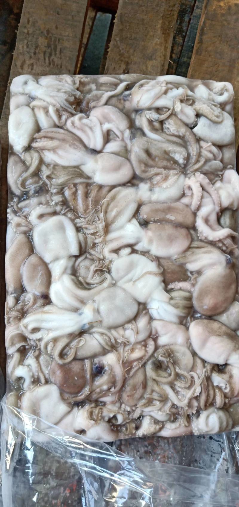 泰国章鱼50-100有泡水看价格便宜