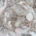 泰国章鱼50-100有泡水看价格便宜