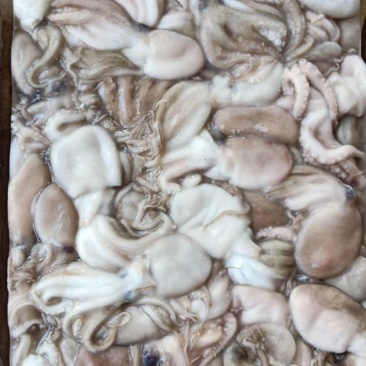 泰国章鱼50-100有泡水看价格便宜