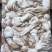 泰国章鱼50-100有泡水看价格便宜