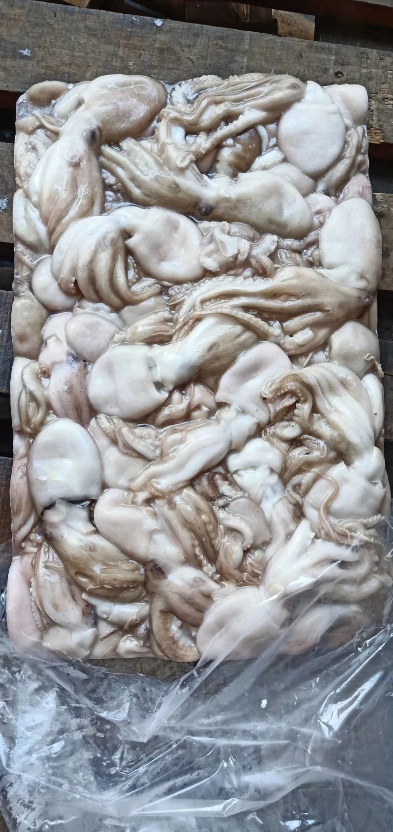 泰国章鱼50-100有泡水看价格便宜