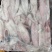 泰国鱿鱼10-1515-20aa鱿鱼