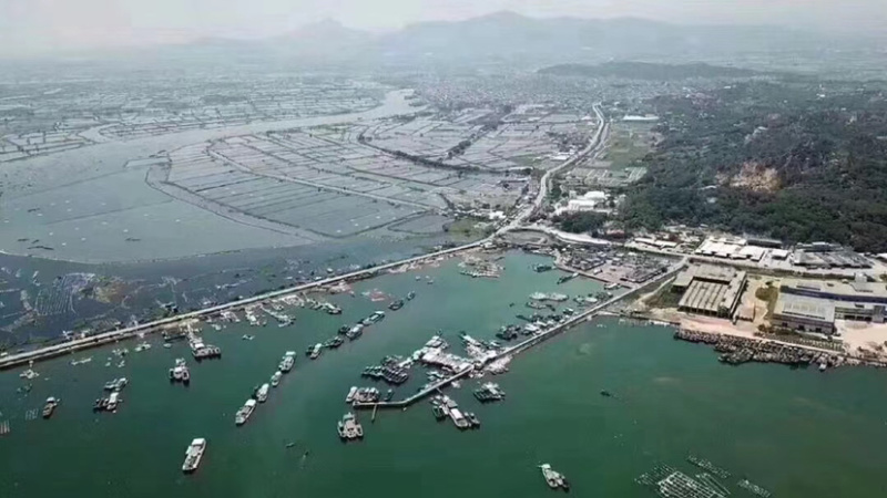 生蚝牡蛎批发福建蚝南澳蚝台山蚝带壳半壳蚝蚝肉