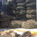 生蚝牡蛎批发福建蚝南澳蚝台山蚝带壳半壳蚝蚝肉