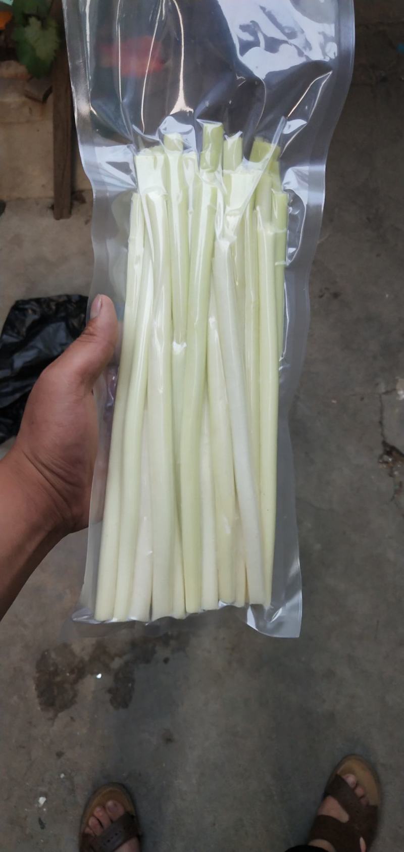 支持全国发货，视频装箱，鲜蒲菜大量供应物美价廉