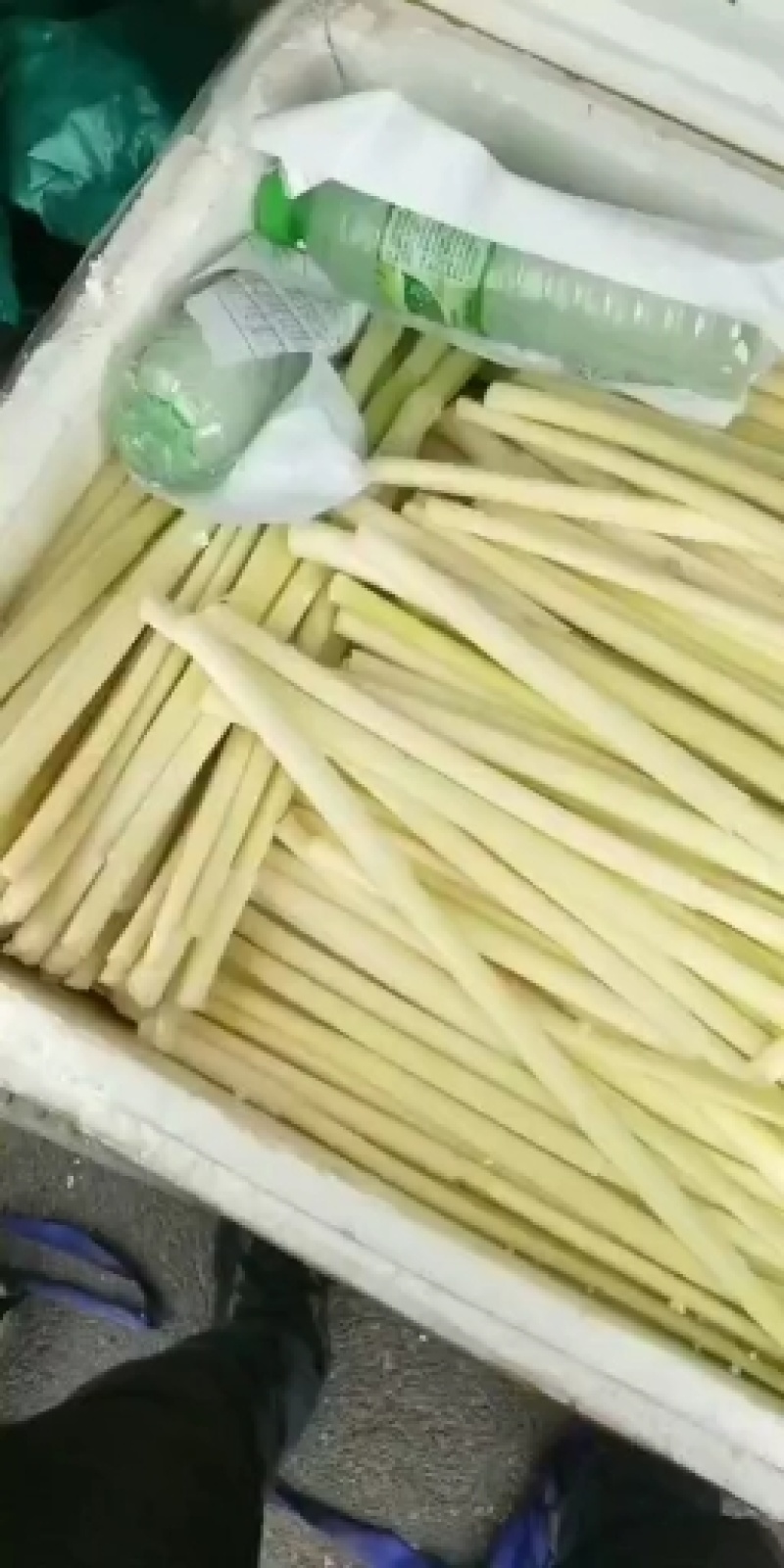 支持全国发货，视频装箱，鲜蒲菜大量供应物美价廉