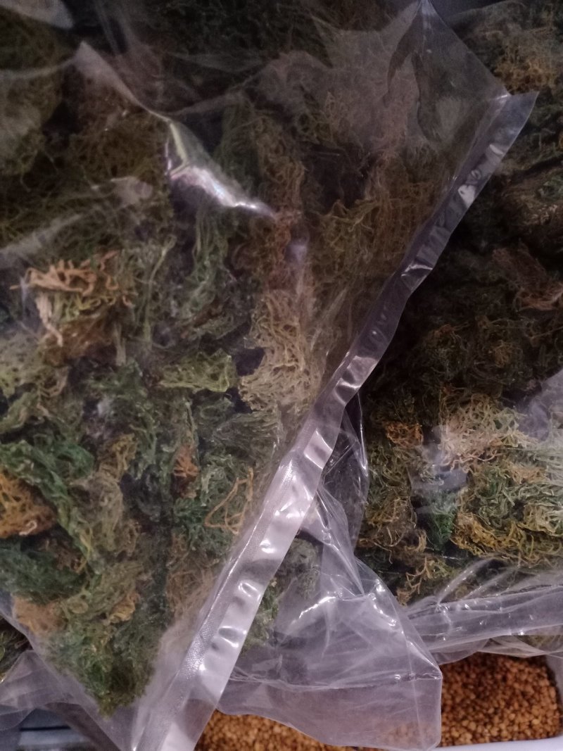 海粉，正品质量保证欢迎选购！