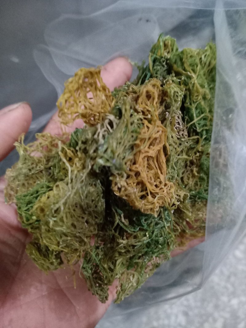海粉，正品质量保证欢迎选购！