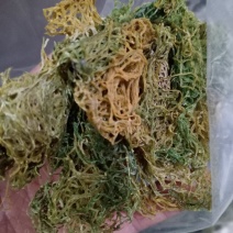 海粉，正品质量保证欢迎选购！