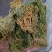 海粉，正品质量保证欢迎选购！