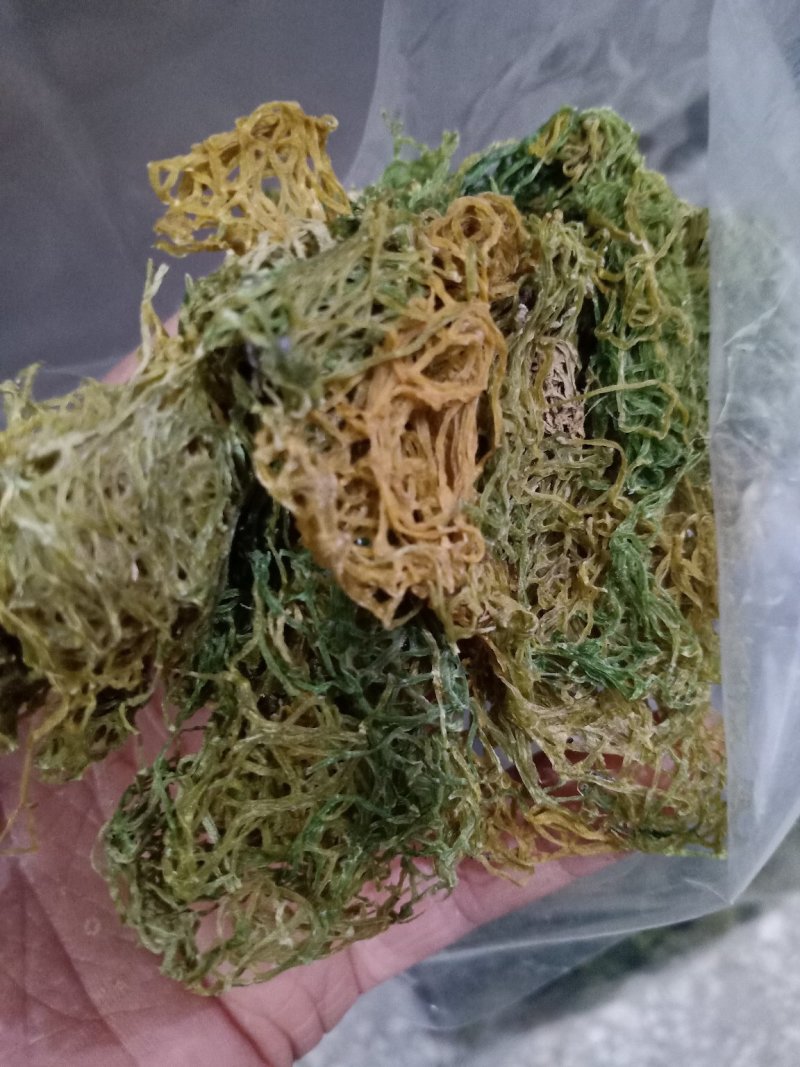 海粉，正品质量保证欢迎选购！