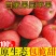 烟台红富士苹果包邮支持一件代发