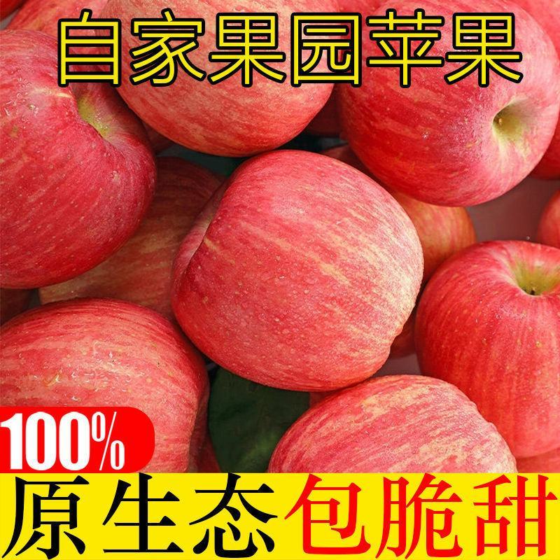 烟台红富士苹果包邮支持一件代发