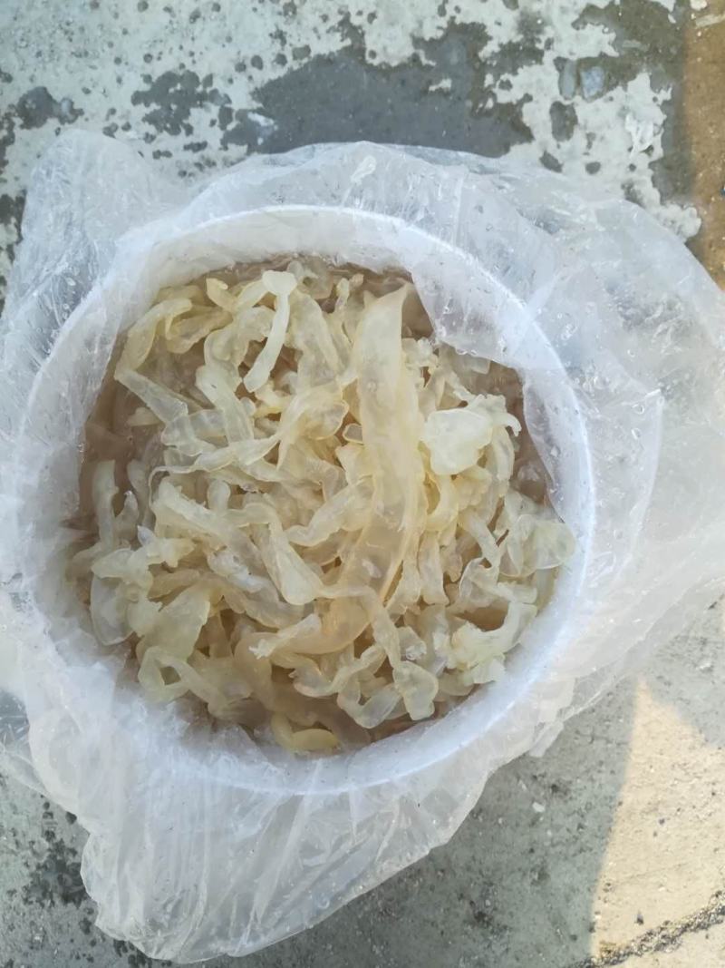 批发零售酒店商超团购福利海蜇头海蜇丝老醋海蜇头非即食
