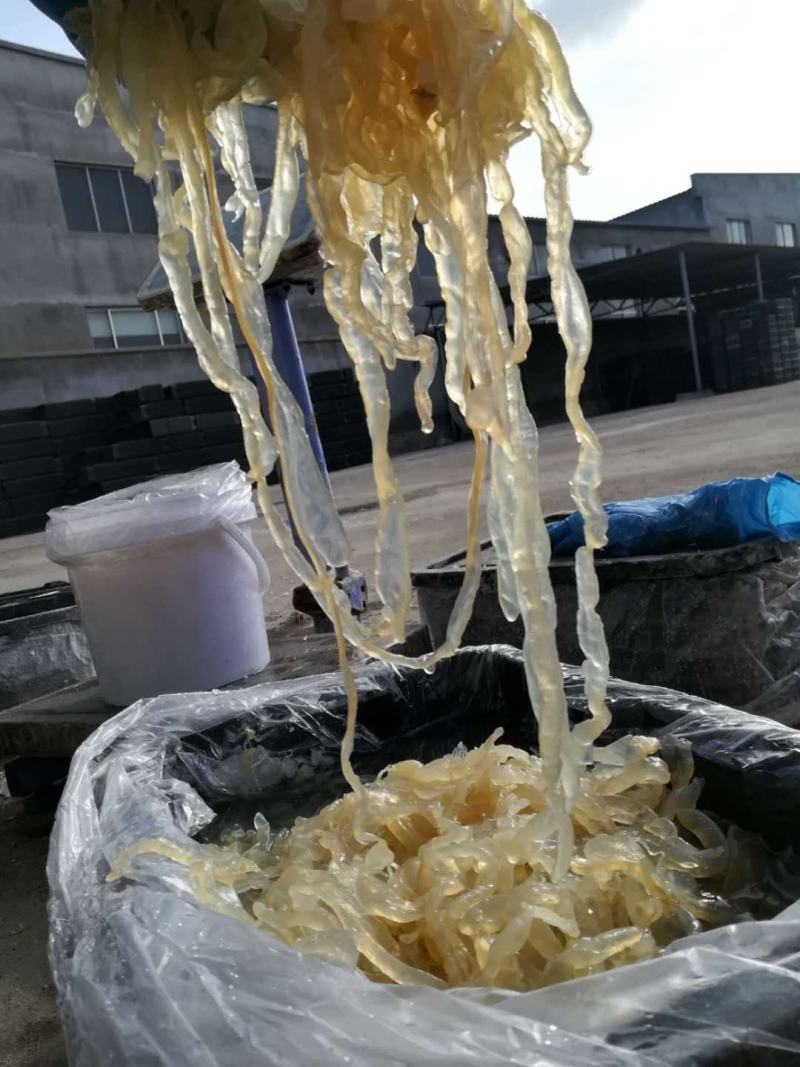 批发零售酒店商超团购福利海蜇头海蜇丝老醋海蜇头非即食