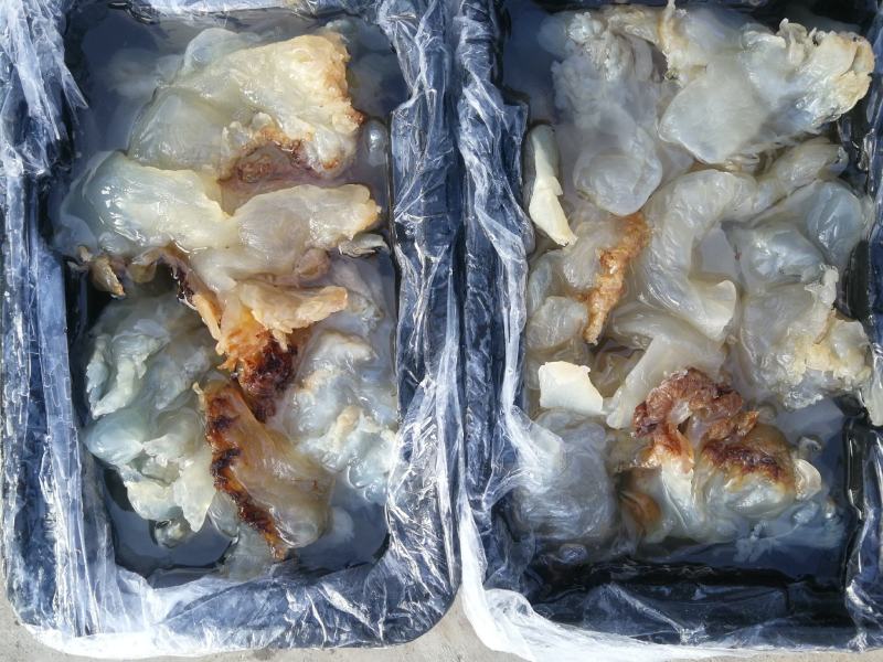 批发零售酒店商超团购福利海蜇头海蜇丝老醋海蜇头非即食