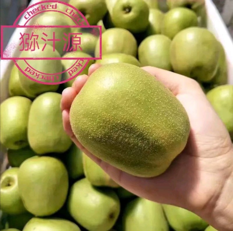 绵阳红心猕猴桃价格已出，欢迎询价。