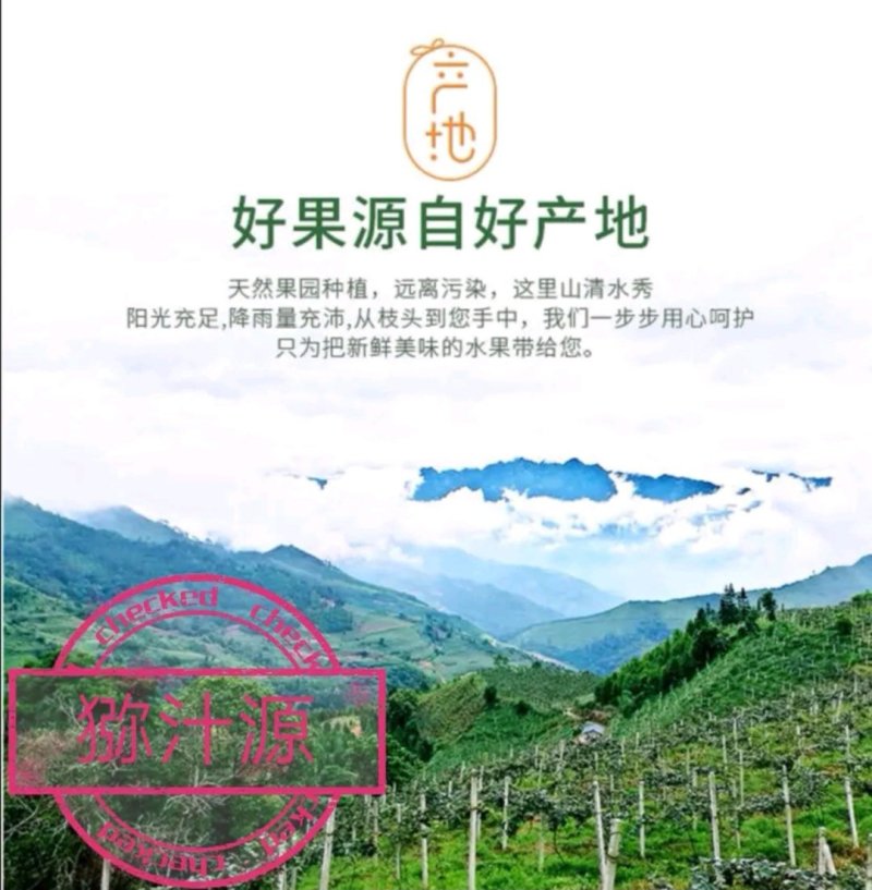 绵阳红心猕猴桃价格已出，欢迎询价。