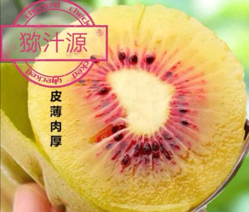 绵阳红心猕猴桃价格已出，欢迎询价。
