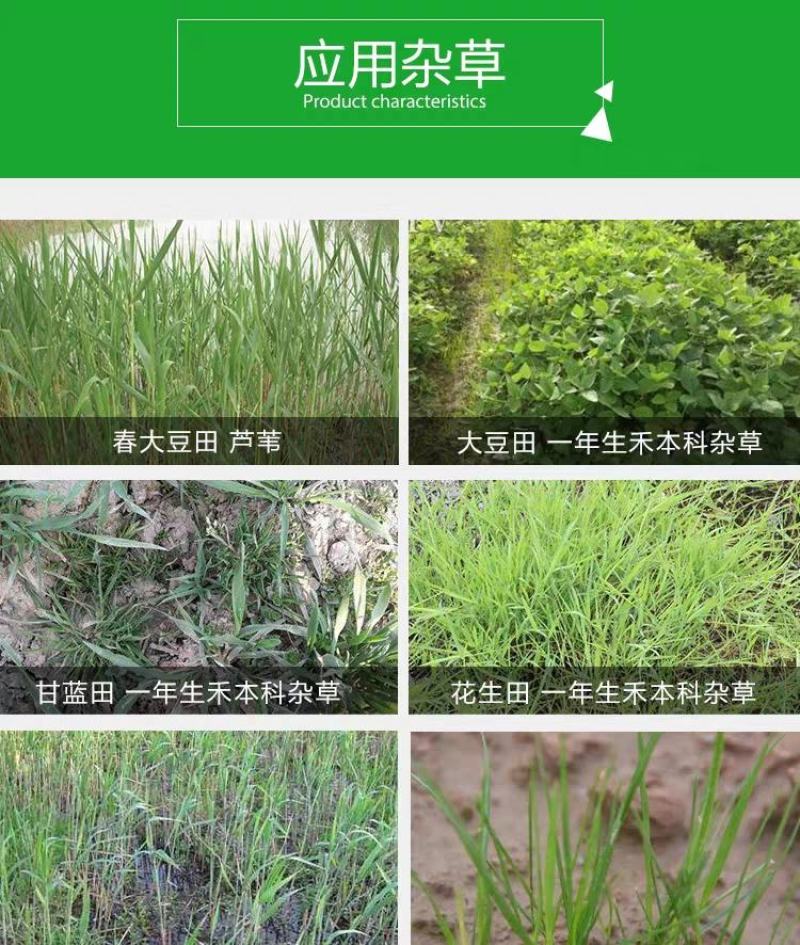 英飒精草铵磷草铵膦安道麦烂根牛筋草荒地果园抗性杂草除草剂