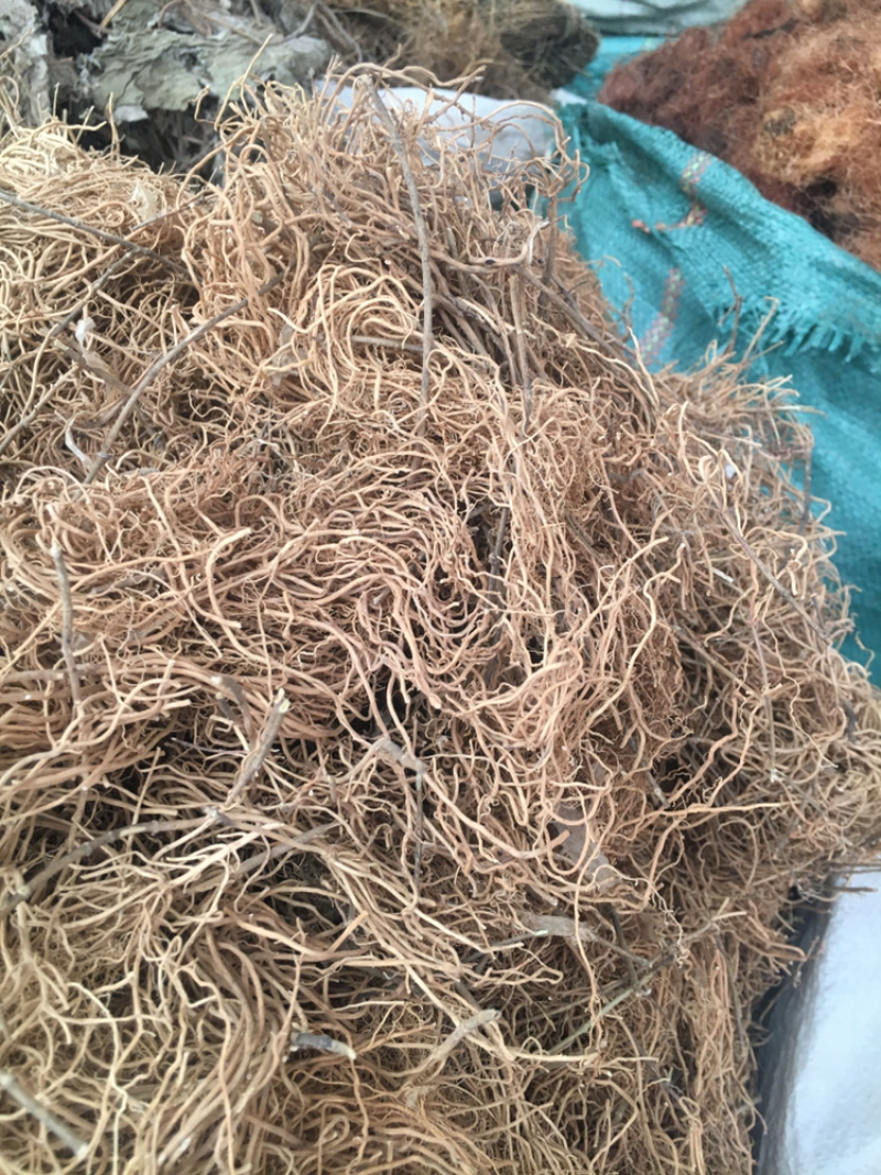 辽刁徐长卿徐长卿中药材批发零售