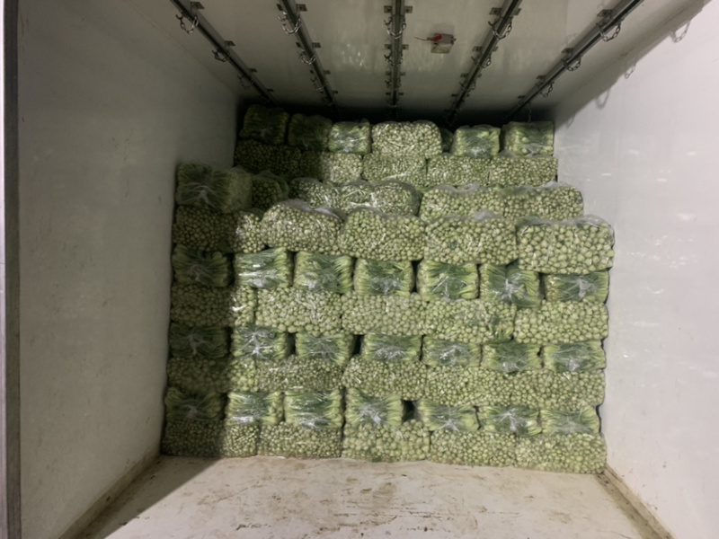 【热销】精品一级小油菜小青菜基地直销，常年供货