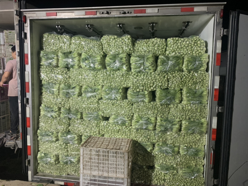 【热销】精品一级小油菜小青菜基地直销，常年供货