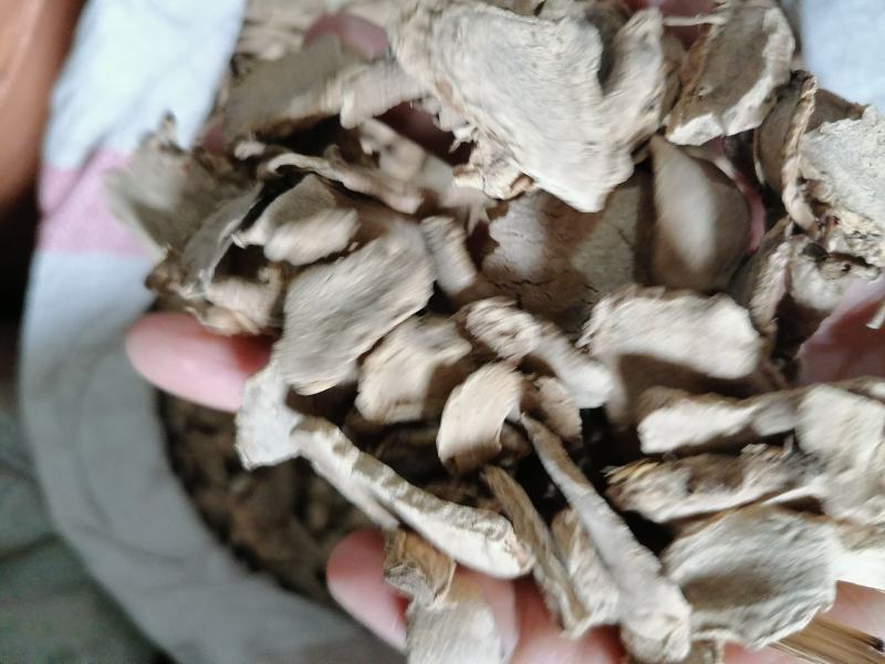 片姜黄姜黄无硫中药材