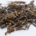 凉粉草可打粉正品专营各种规格批发专营中药