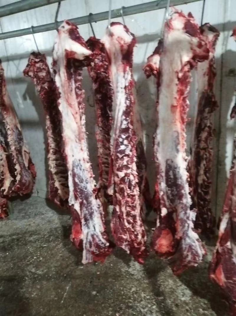 新鲜剔骨屠宰纯干无水黄牛肉，每个部位都有，客户可随意挑选