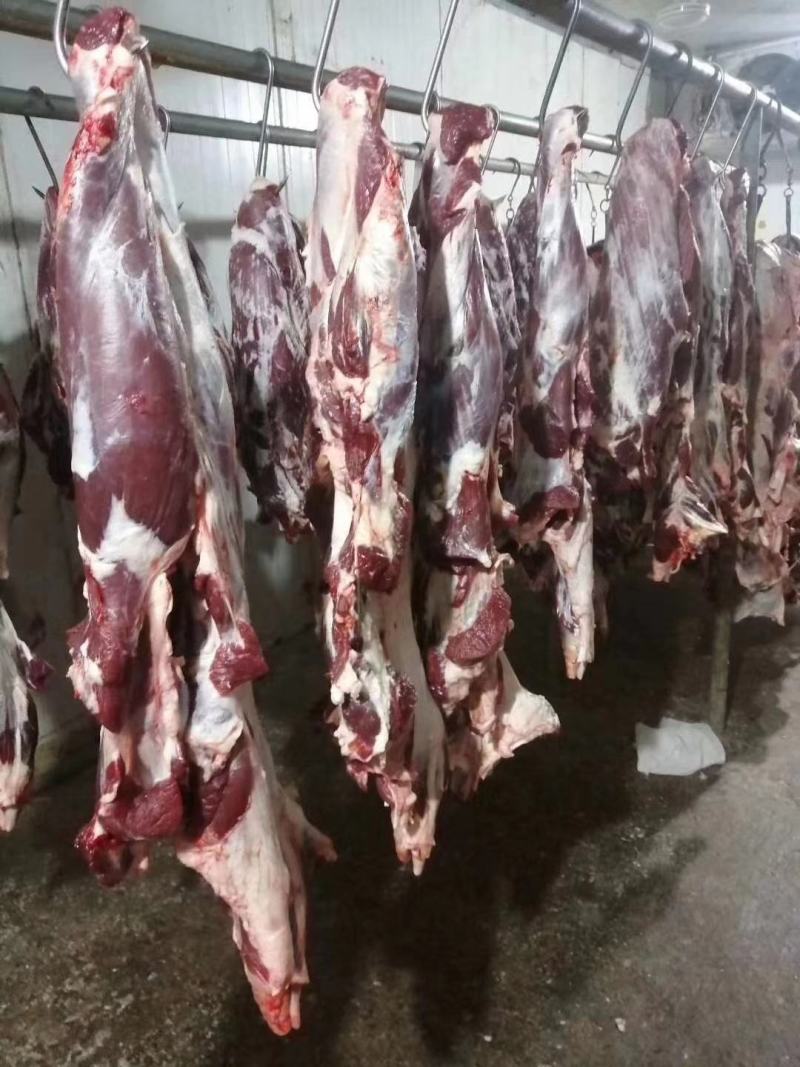 新鲜剔骨屠宰纯干无水黄牛肉，每个部位都有，客户可随意挑选