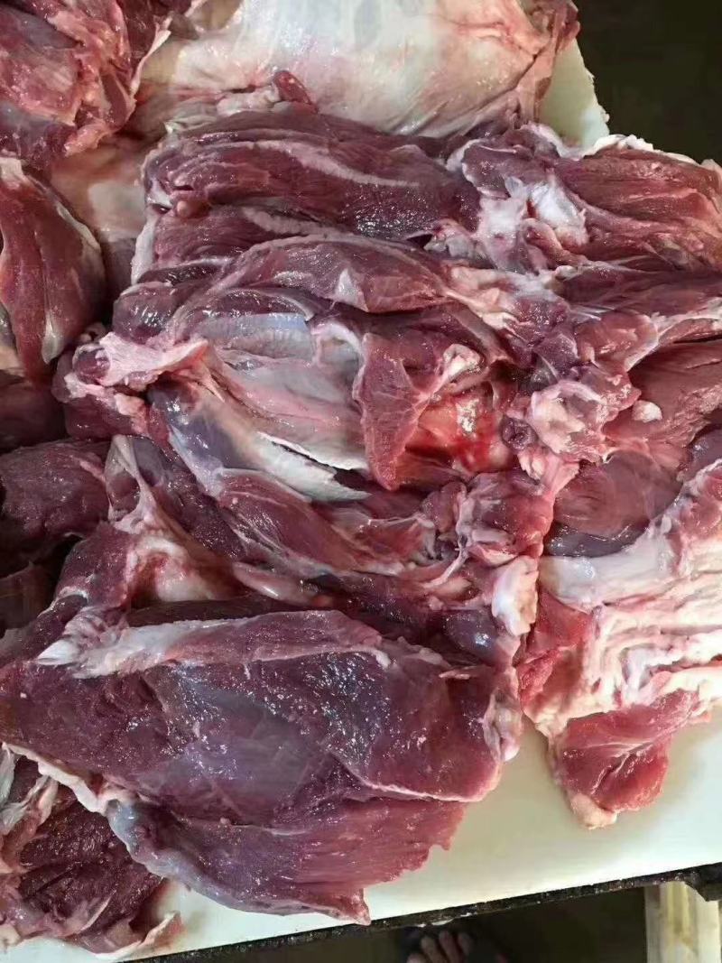 新鲜剔骨屠宰纯干无水黄牛肉，每个部位都有，客户可随意挑选