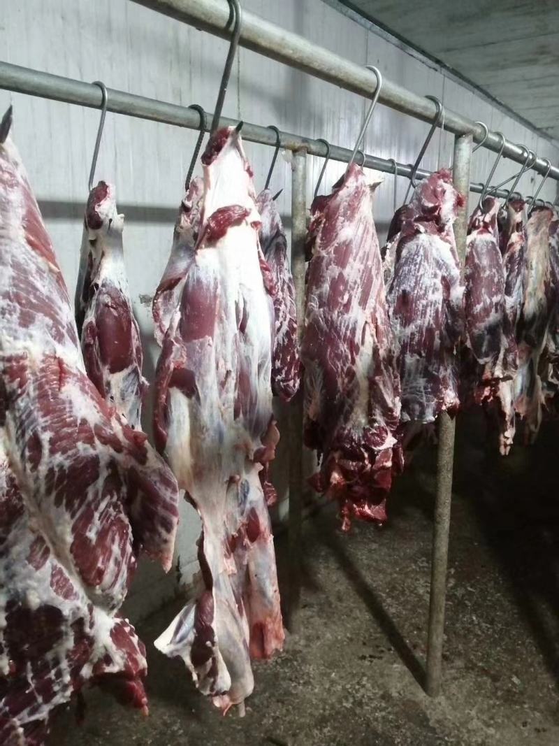 新鲜剔骨屠宰纯干无水黄牛肉，每个部位都有，客户可随意挑选