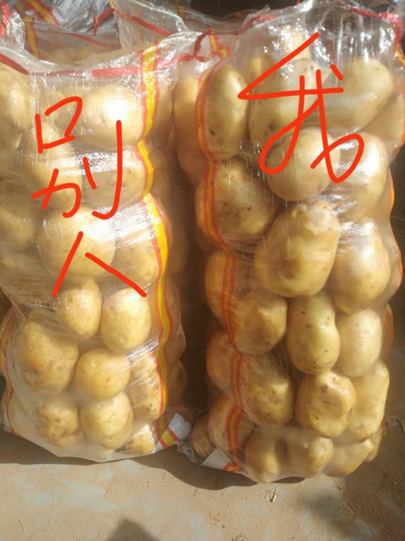 厂家大量供应土豆地瓜红薯玉米大蒜编织袋欢迎洽谈