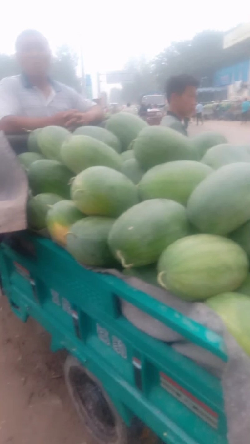 开封通许龙卷风，大量上市了，品质好，甜度高无嫁接