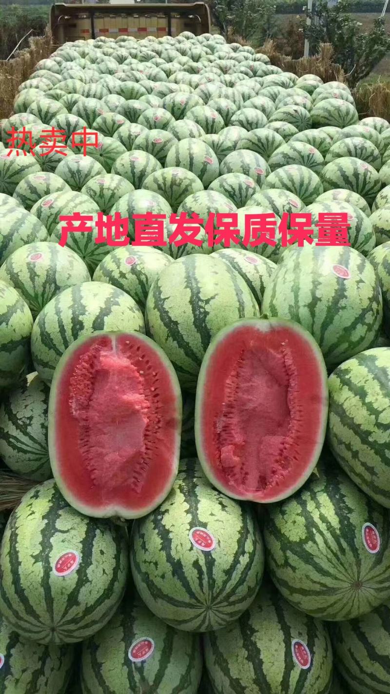【爱心助农】宁夏中卫硒砂瓜/石头瓜，含硒量高，营养健康