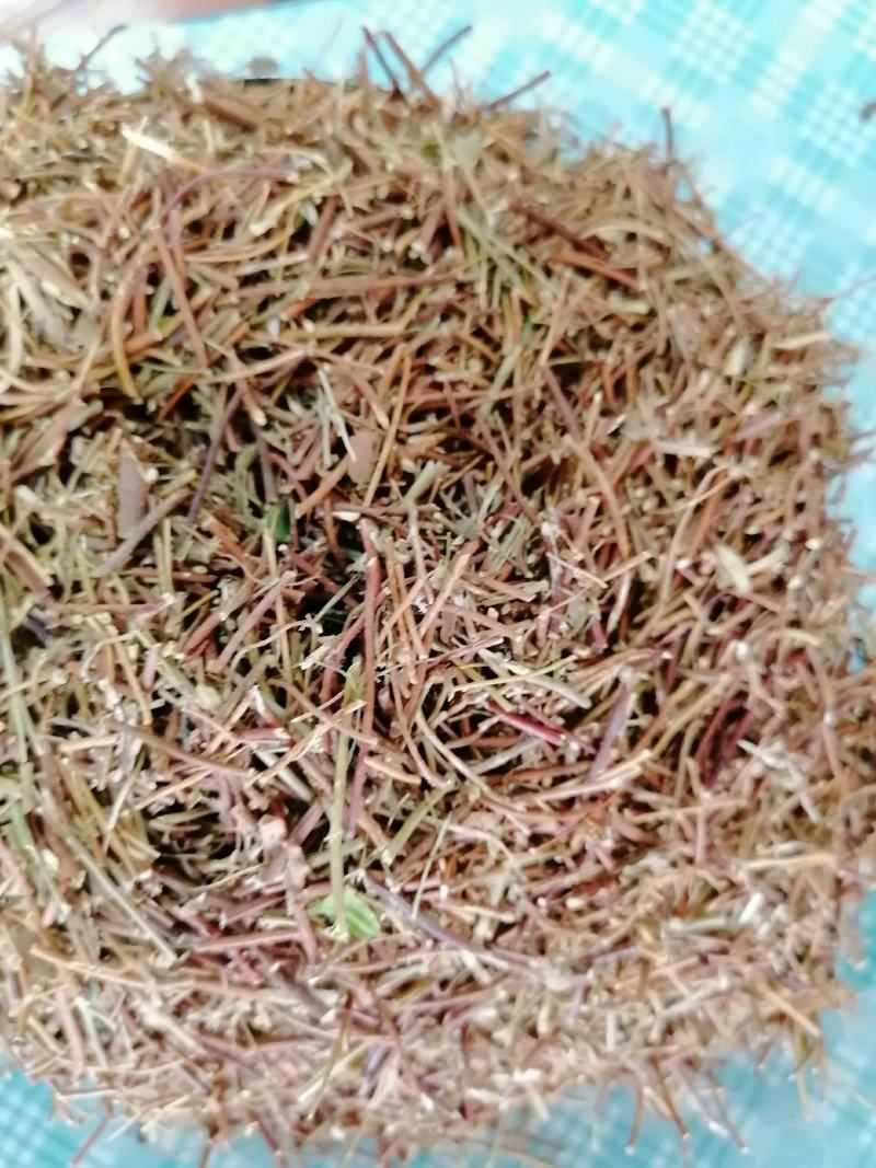 广西鸡骨草，小扎把，切段都有，一斤十把左右，新鲜干净干货