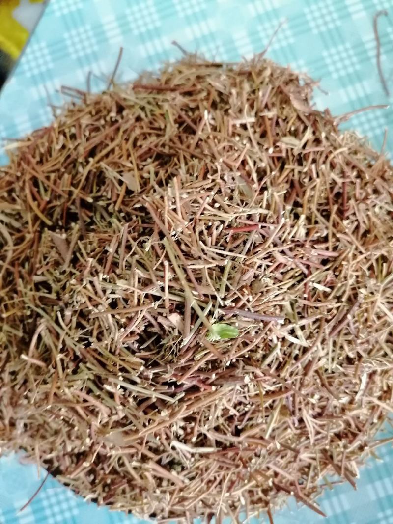 广西鸡骨草，小扎把，切段都有，一斤十把左右，新鲜干净干货