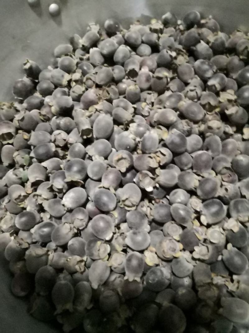 桃金娘果开始少量上市了
