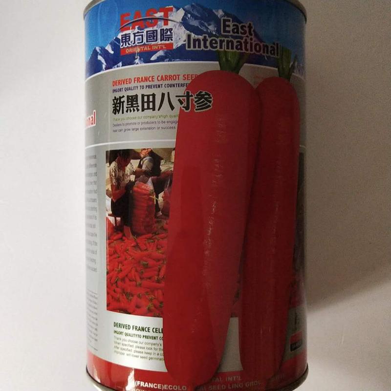 胡萝卜种子杂交好冠坂田红参种子红冠红心品种