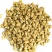 西洋参，常年批发供应各种规格，药食同源，西洋参立头中药材