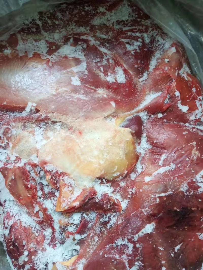 鲜冻带皮驴肉颜色鲜质量好带皮驴肉颜色新鲜质量好出肉率高