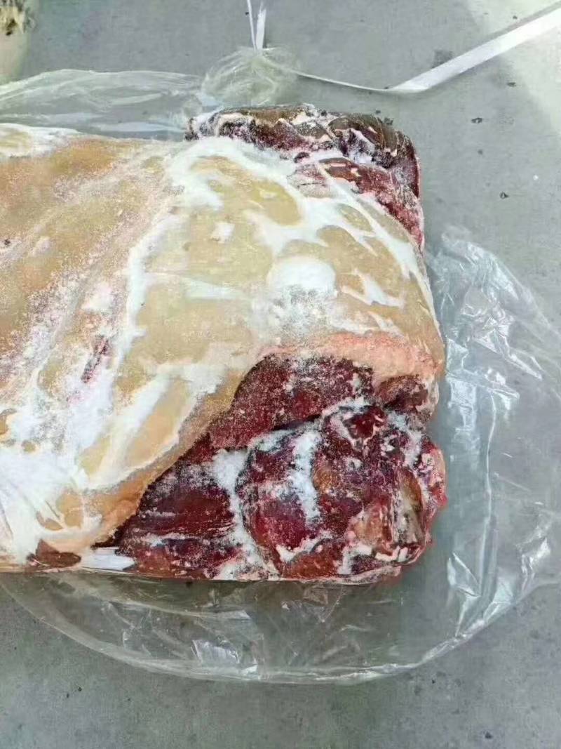 鲜冻带皮驴肉颜色鲜质量好带皮驴肉颜色新鲜质量好出肉率高