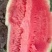 【冠龙西瓜】花皮长瓜河南西瓜不报虚价植苗